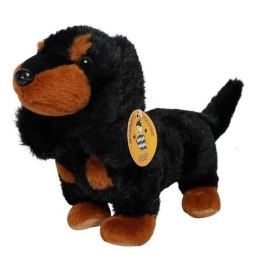 Pluszak jamnik [mm:] 260 Deef (04333)