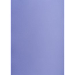 Brystol purpurowy A1 purpurowy 160g [mm:] 610x860 TOP-2000 (400149563)
