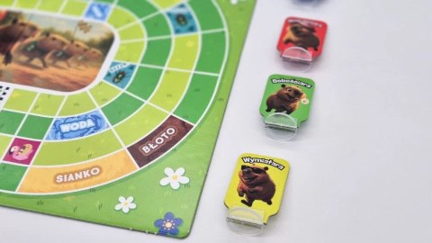 Gra planszowa Kapibary na Start Alexander