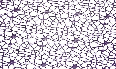 Ozdoba materiałowa Craft-Fun Series siatka koronkowa fioletowa Titanum (25CR0331-20)