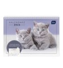Kalendarz ścienny ZWIERZAKI 250mm x 175mm Interdruk (z kieszenią)