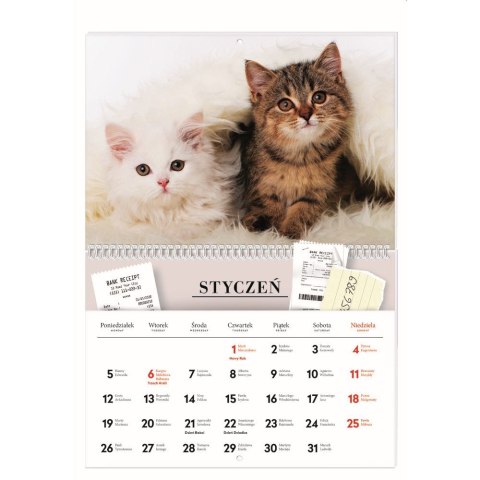 Kalendarz ścienny ZWIERZAKI 250mm x 175mm Interdruk (z kieszenią)