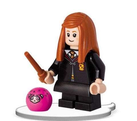 Książka dla dzieci LEGO® Harry Potter™. Towarzysze zabaw Ameet (LNC 6424) Książka dla dzieci LEGO® Harry Potter™. Towarzysze zabaw Ameet (LNC 6424)