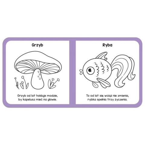 Książka dla dzieci Mały miś to lubi! Zabawy logopedyczne. Aksjomat Książka dla dzieci Mały miś to lubi! Zabawy logopedyczne. Aksjomat