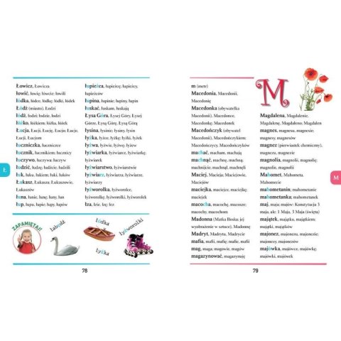 Książka dla dzieci Słownik ortograficzny Aksjomat Książka dla dzieci Słownik ortograficzny Aksjomat