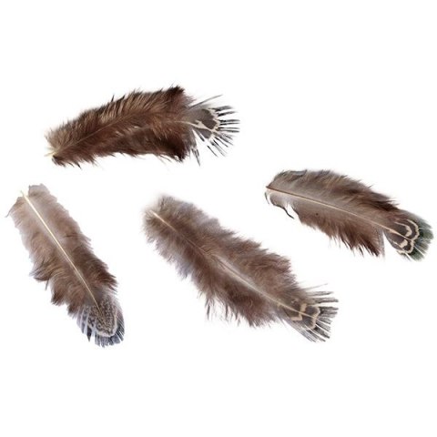 Piórka Craft-Fun Series 3g brązowy Titanum (A19HT018)