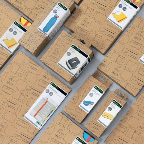 Ładowarka akumulatorowa Cosy Leitz (64790019)