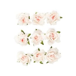 Kwiaty róże Argo (252041)