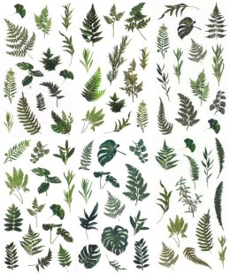 Naklejka (nalepka) Craft-Fun Series Liście foliowe Titanum (25MD001)