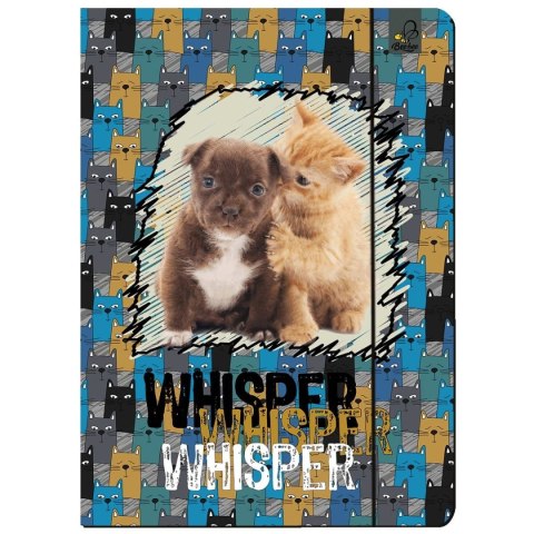 Teczka kartonowa na gumkę A4 Best Friend zwierzaki mix A4 mix Ev-corp (TA4BF2)