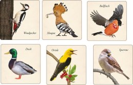 Gra pamięciowa MEMORY ptaki memory Adamigo