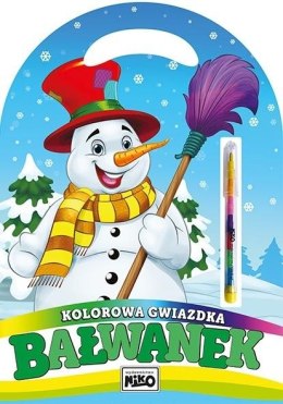 Książeczka edukacyjna Bałwanek Niko
