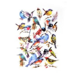 Naklejka (nalepka) niebieskie ptaki (254044)