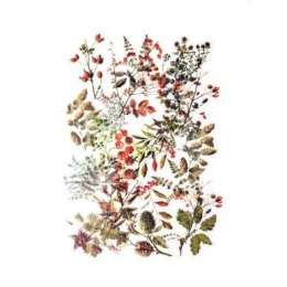 Naklejka (nalepka) skarby (254041)