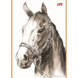 Notes (notatnik) szkicownik konie A4 20k. czysty Unipap