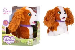 Pluszak interaktywny Puppy Luv piesek Bella Tm Toys (DKO0106)