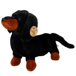 Pluszak jamnik [mm:] 360 Deef (04277)