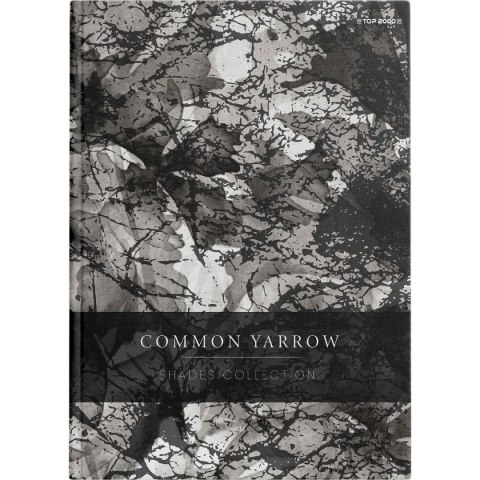 Brulion Shades A5 96k. 70g krata Top 2000 (400158936)