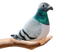 Pluszak Gołąb Grzywacz Szary [mm:] 200 Lean (20450)