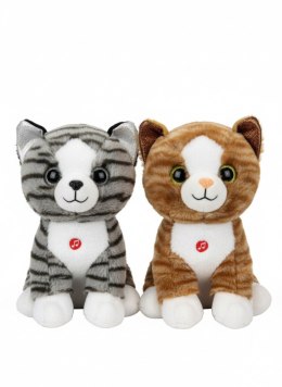 Pluszak kot rasowy duży Deef (04211)