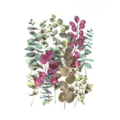 Naklejka (nalepka) berberysy (254042)