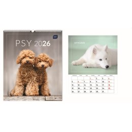 Kalendarz ścienny WIELOPLANSZOWY 355mm x 400mm Interdruk (PSY)