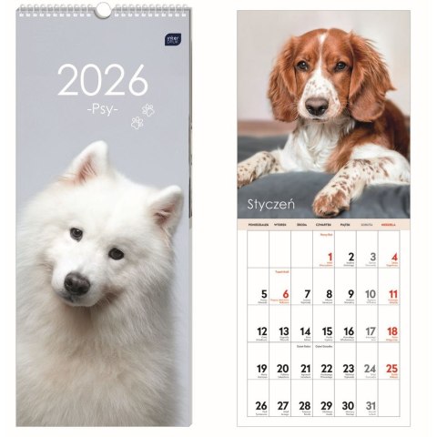 Kalendarz ścienny paskowy 170mm x 410mm Interdruk (PSY)