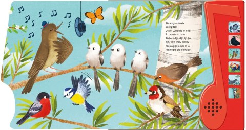 Książka dla dzieci dźwiękowa Ptasie Radio Morex