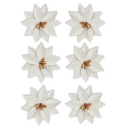 Kwiaty poinsecja Argo (252038)