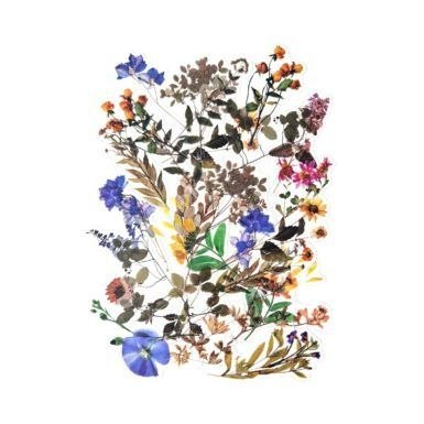 Naklejka (nalepka) polne kwiaty (254040)