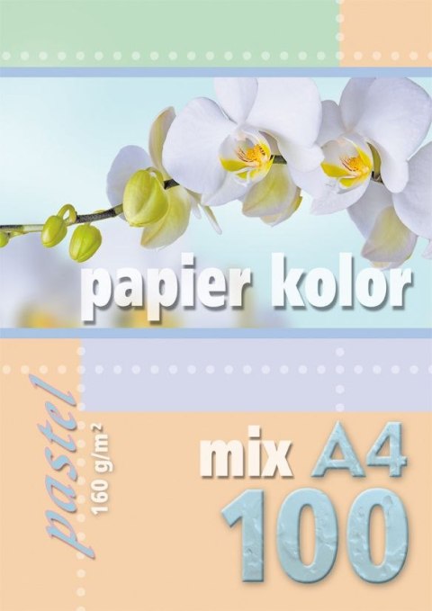Papier kolorowy A4 mix 160g Kreska