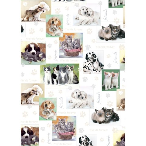 Papier ozdobny mix [mm:] 700x1000 Pol-mak