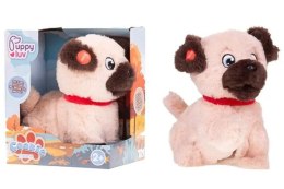 Pluszak interaktywny Puppy Luv piesek Cookie Tm Toys (DKO0105)