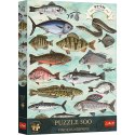 Puzzle Premium Plus Finders Keepers: Ryby Trefl (37609)