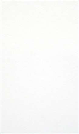 Brystol gładki biały biały 185g [mm:] 210x297 Kreska (w88)