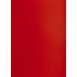 Brystol A2 ciemnoczerwony 160g 25k [mm:] 430x610 TOP-2000 (400150178)