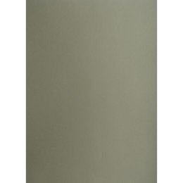 Brystol A2 ciemnoszary 160g 25k [mm:] 430x610 TOP-2000 (400150170)