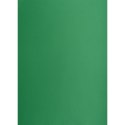 Brystol A2 ciemnozielony 160g 25k [mm:] 430x610 TOP-2000 (400150195)