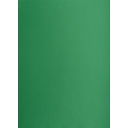 Brystol A2 ciemnozielony 160g 25k [mm:] 430x610 TOP-2000 (400150195)