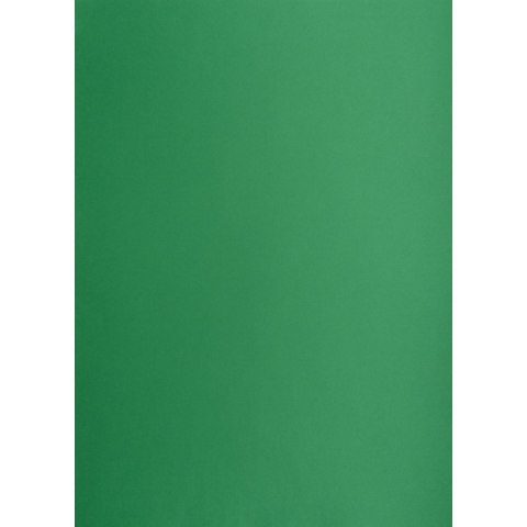 Brystol A2 ciemnozielony 160g 25k [mm:] 430x610 TOP-2000 (400150195)