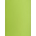 Brystol A2 jasnozielony 160g 25k [mm:] 430x610 TOP-2000 (400150192)