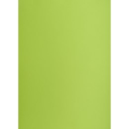 Brystol A2 jasnozielony 160g 25k [mm:] 430x610 TOP-2000 (400150192)