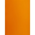 Brystol A2 pomarańczowy 160g 25k [mm:] 430x610 TOP-2000 (400150176)
