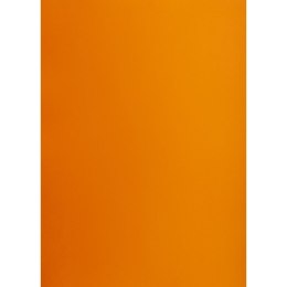 Brystol A2 pomarańczowy 160g 25k [mm:] 430x610 TOP-2000 (400150176)