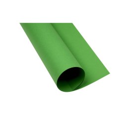 Brystol A2 zielony 160g 25k [mm:] 430x610 TOP-2000 (400150193)