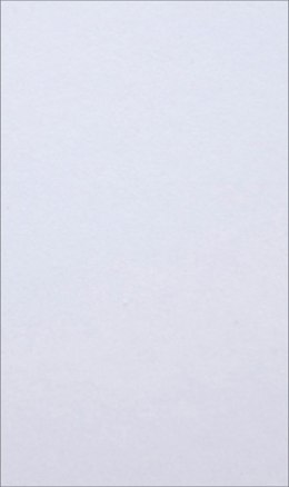 Brystol Kreska (W30)