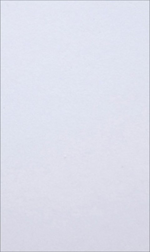 Brystol Kreska (W30)