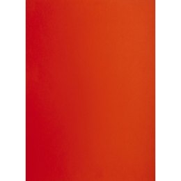 Brystol czerwony A2 czerwony 160g 25k [mm:] 430x610 TOP-2000 (400150177)