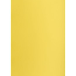 Brystol kanarkowy A2 żółty 160g 25k [mm:] 430x610 TOP-2000 (400150179)