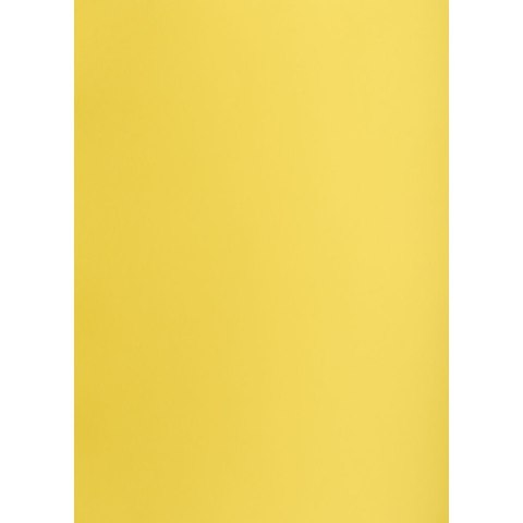 Brystol kanarkowy A2 żółty 160g 25k [mm:] 430x610 TOP-2000 (400150179)